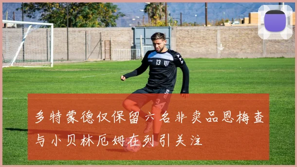 多特蒙德仅保留六名非卖品恩梅查与小贝林厄姆在列引关注