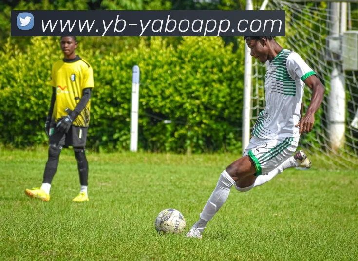 奖项证书